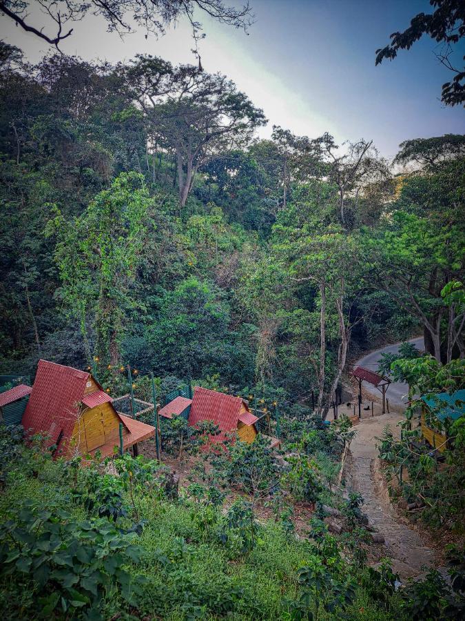 Hotel Mini Cabaña TANOA Minca Exterior foto